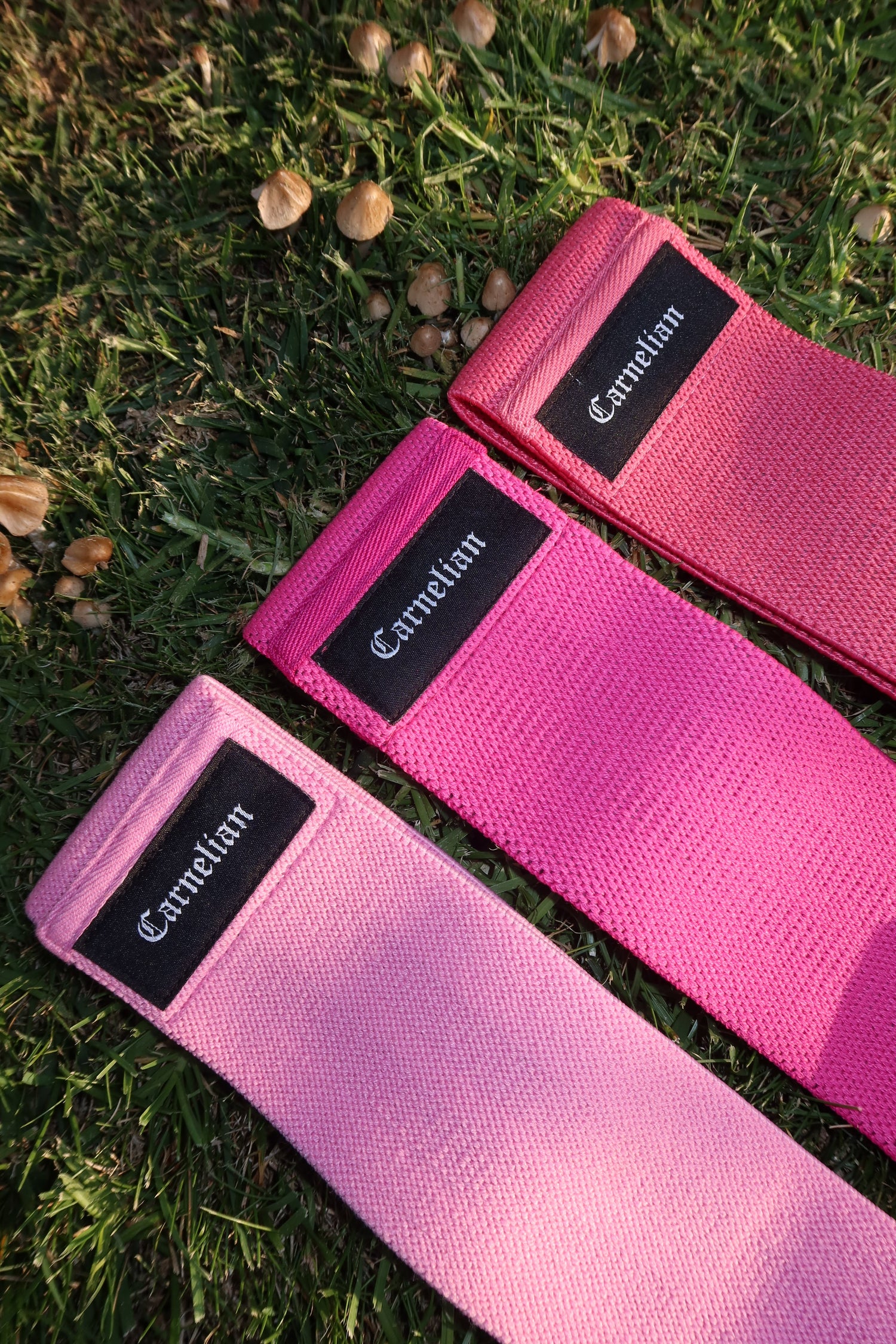 Carnelian glute-resistant bands