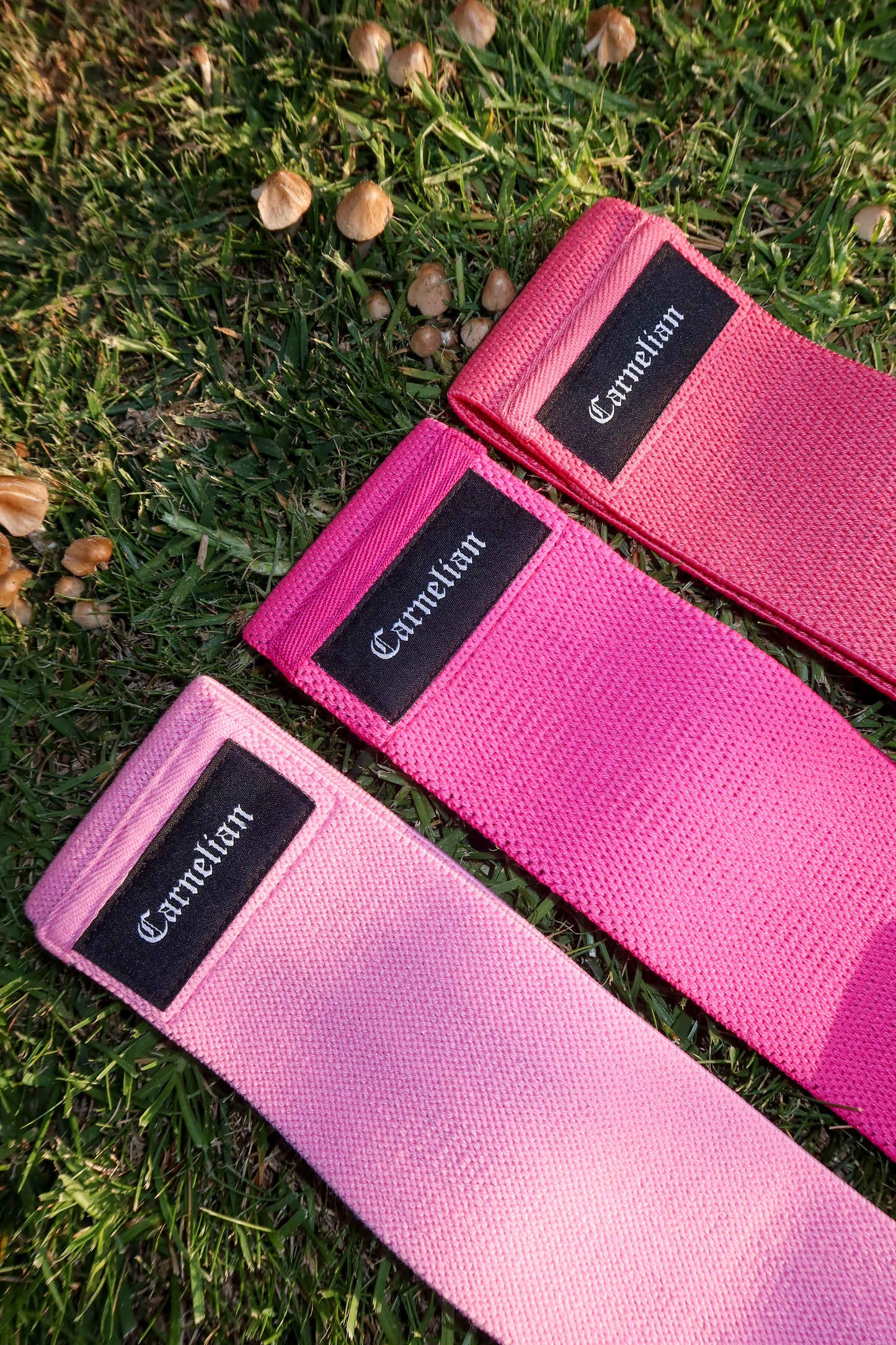 Glute-Resistant Bands